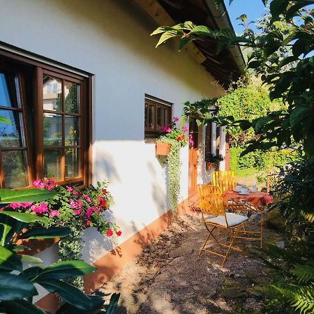 Ferienhaus Zirbe Rickenbach  Kültér fotó